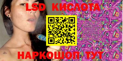 индика Кандалакша