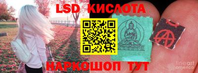 индика Кандалакша