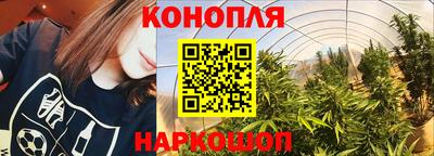 индика Кандалакша