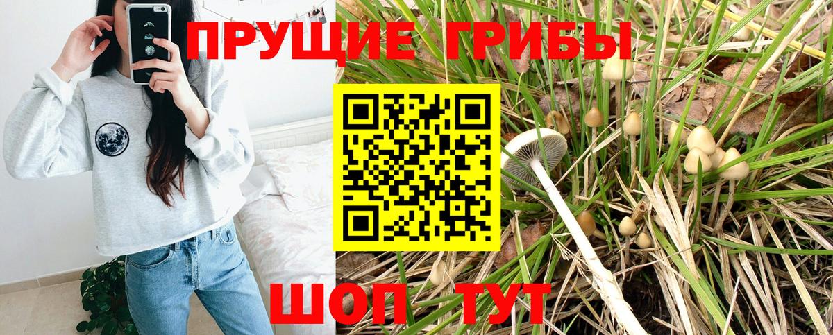 Псилоцибиновые грибы мухоморы Радужный